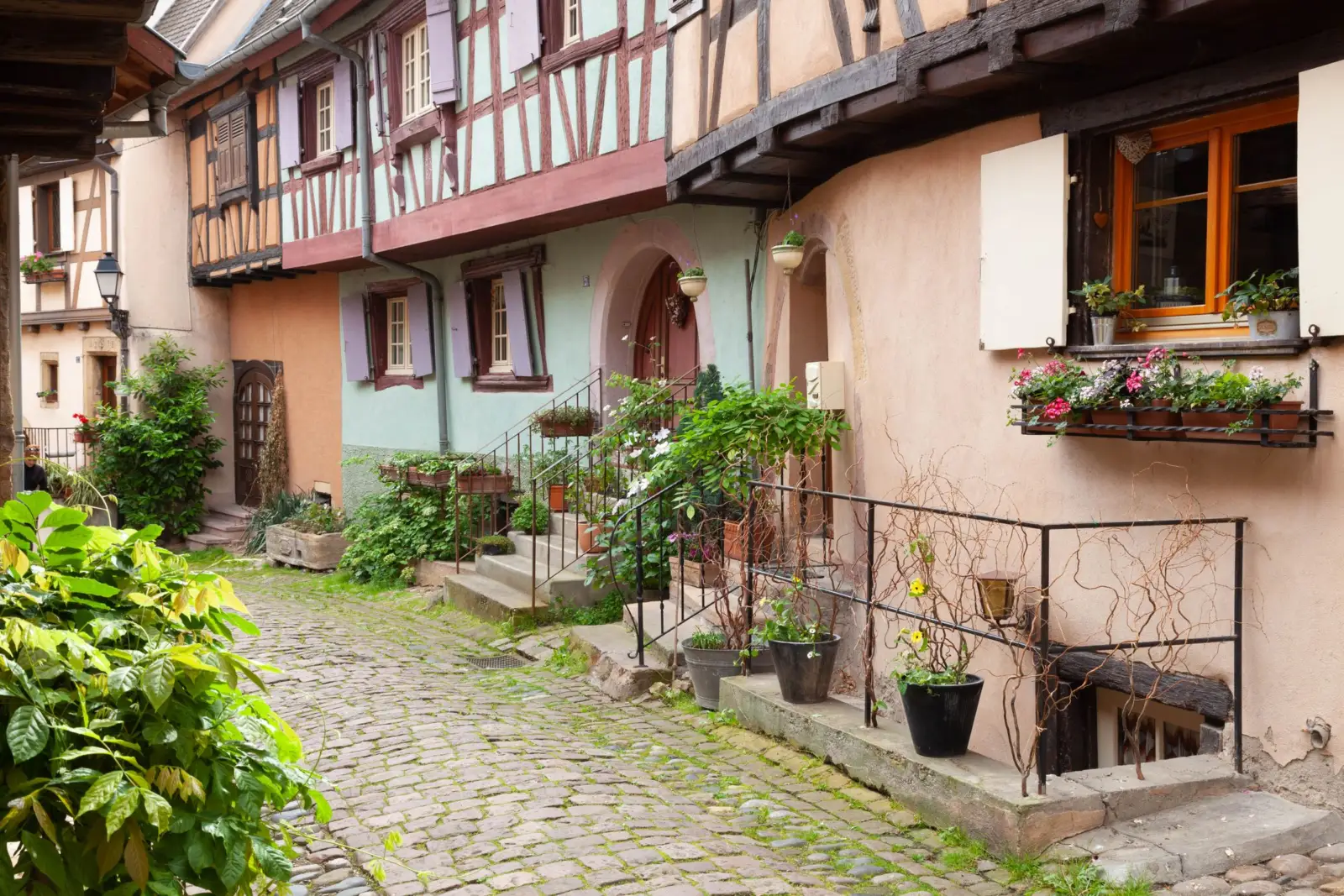 Rue pavée d'Eguisheim, en Alsace, bordée de maisons à colombages aux volets colorés et fleuries