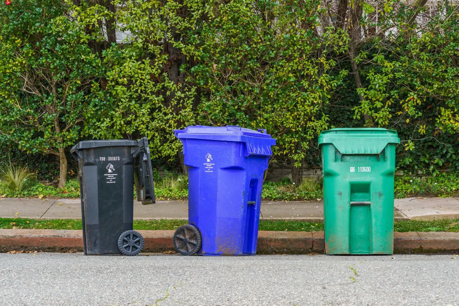 Trois bacs à déchets noir, bleu et vert alignés au bord d'un trottoir devant une haie
