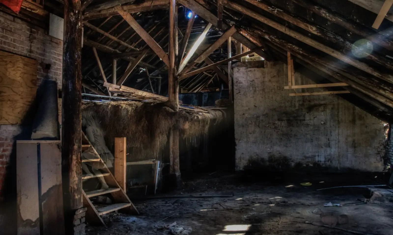 Combles anciens et poussiéreux, poutres et chevrons en bois éclairés par une lucarne, échelle de bois au premier plan